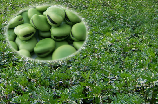 6A00B