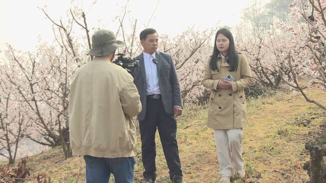 央视7.jpg 央视7.jpg