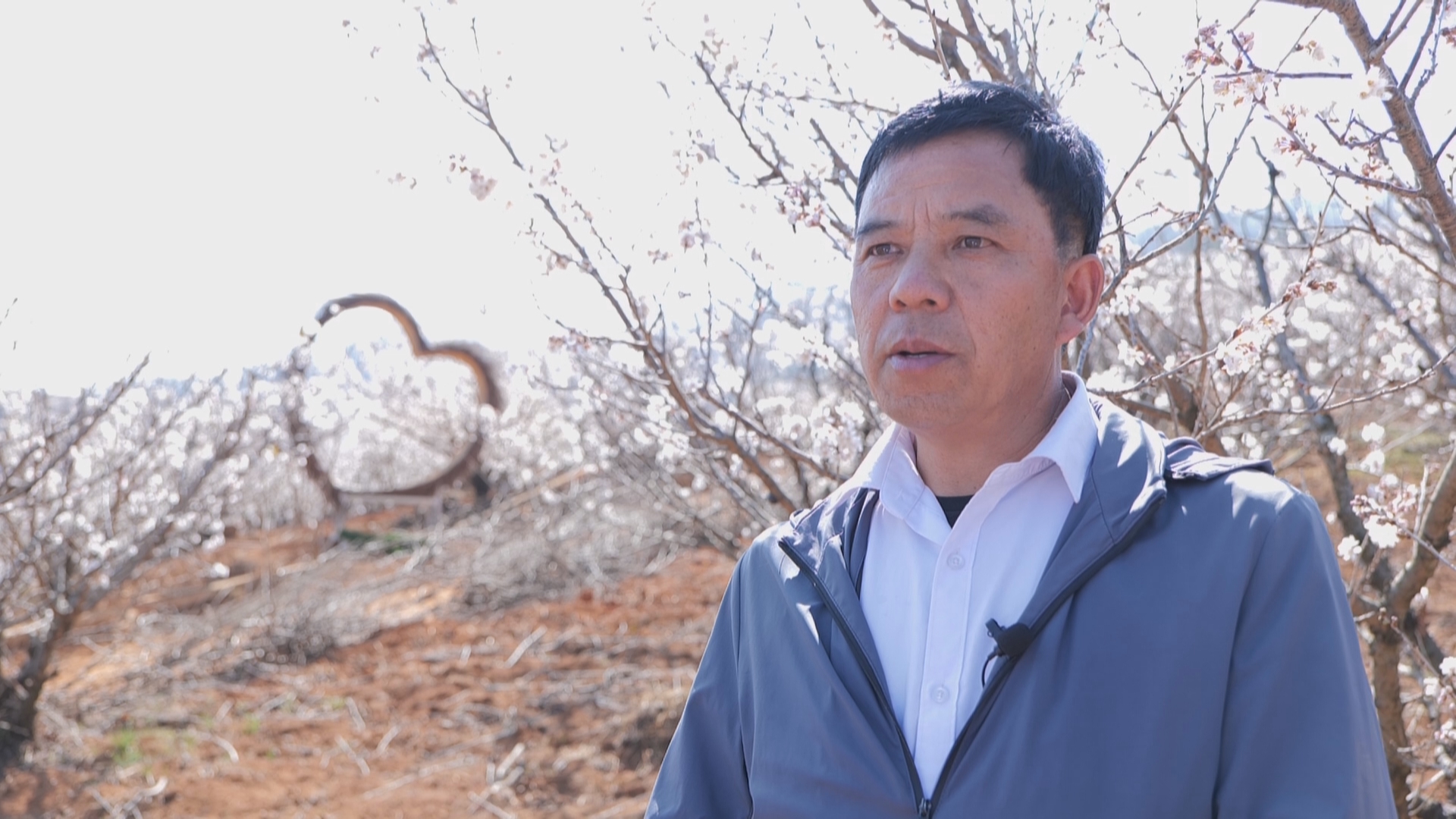 复制图片 复制图片