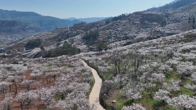 央视13.jpg 央视13.jpg