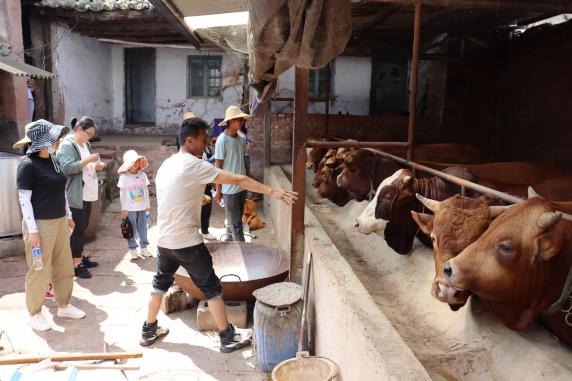 IMG_1168.JPG IMG_1168.JPG