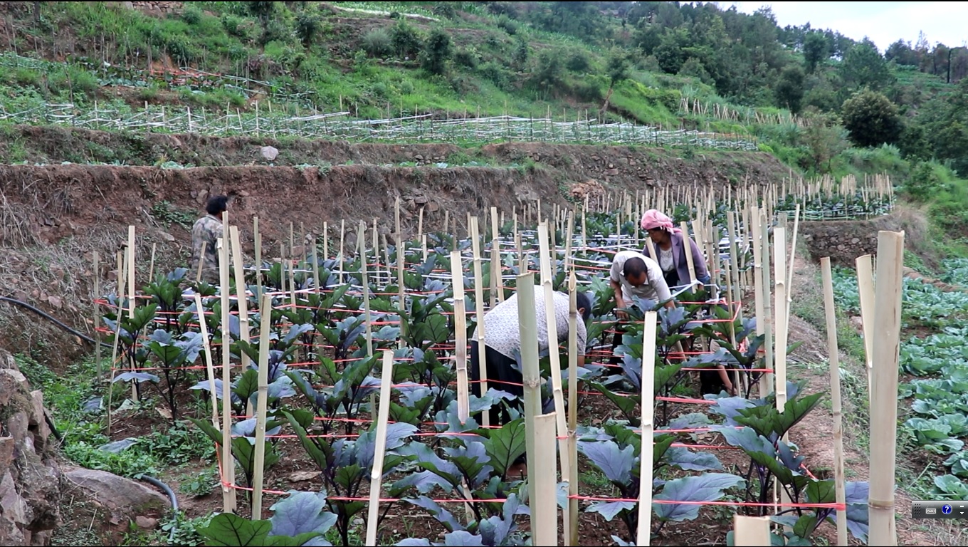 paperMaterial_img paperMaterial_img