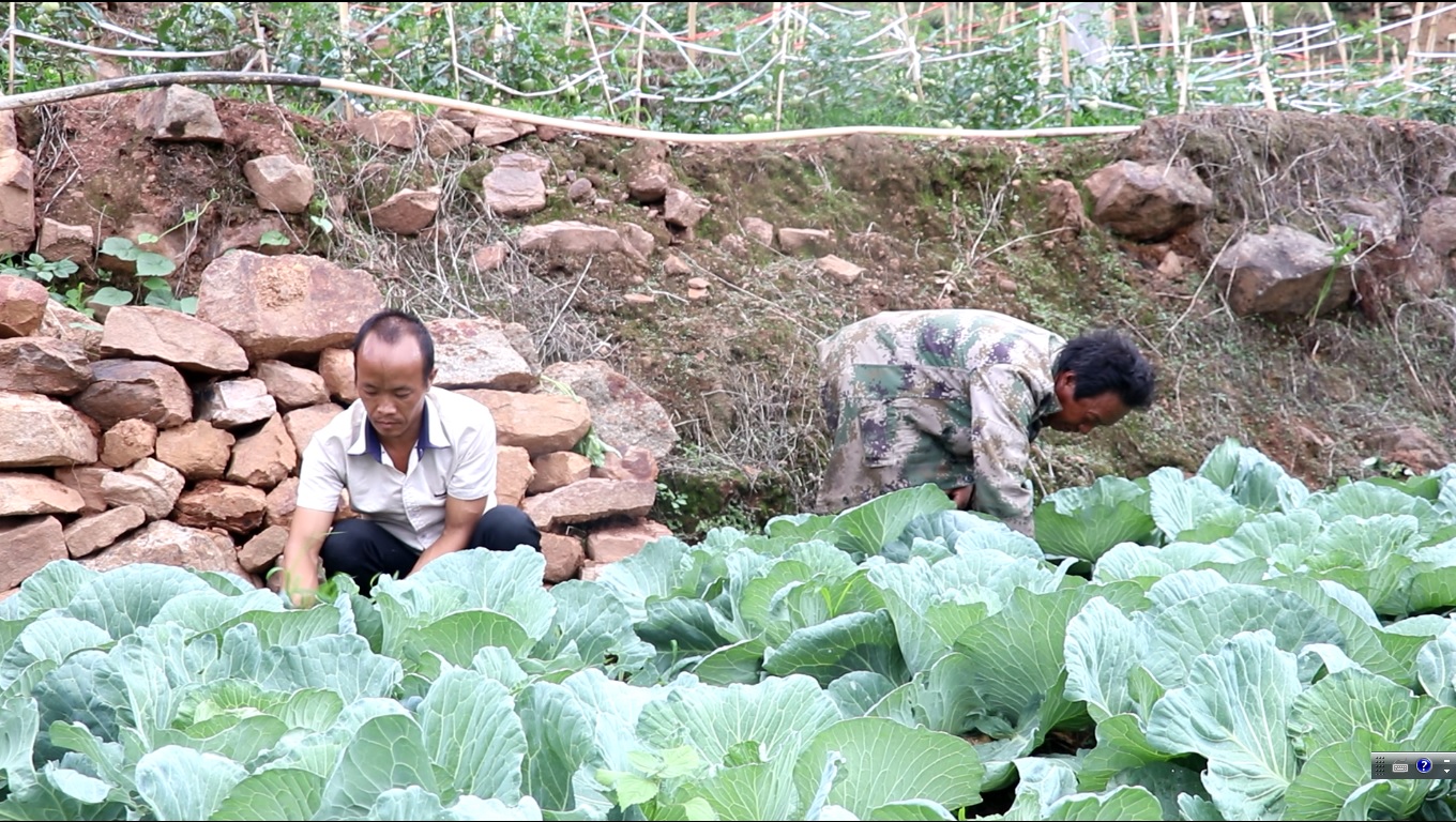 paperMaterial_img paperMaterial_img