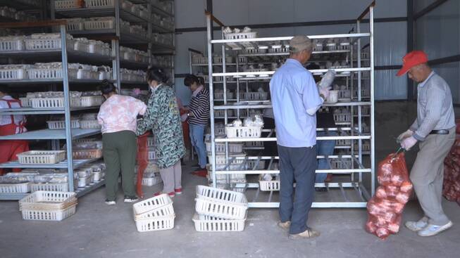 春江公司.jpg 春江公司.jpg