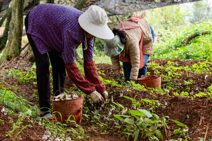 大坪子基地3.jpg 大坪子基地3.jpg