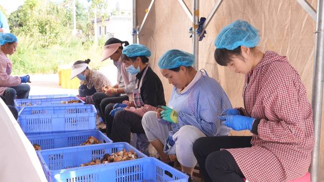 鑫蘑坊3.jpg 鑫蘑坊3.jpg