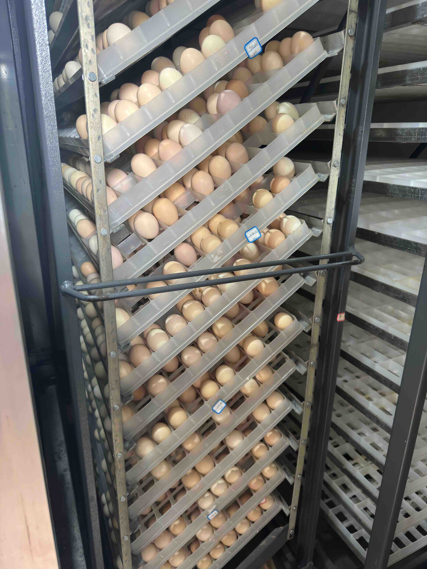 复制图片 复制图片