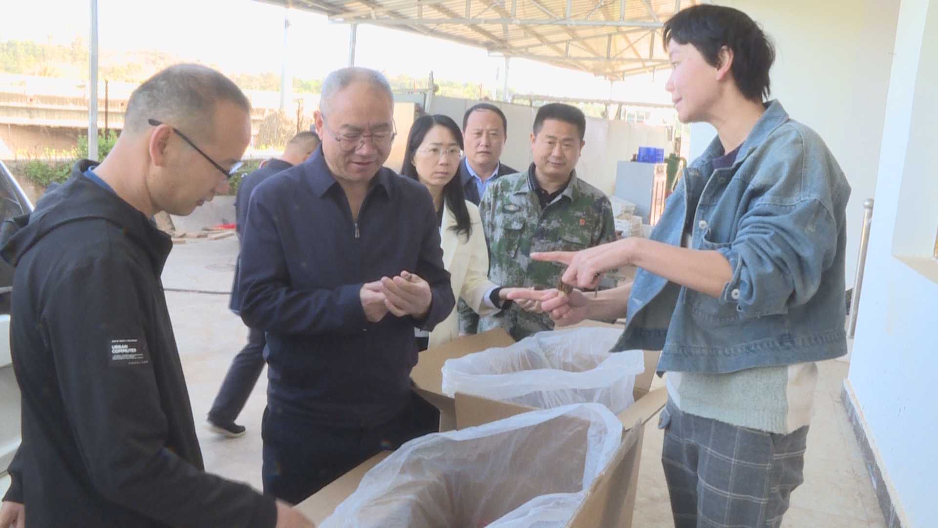 复制图片 复制图片