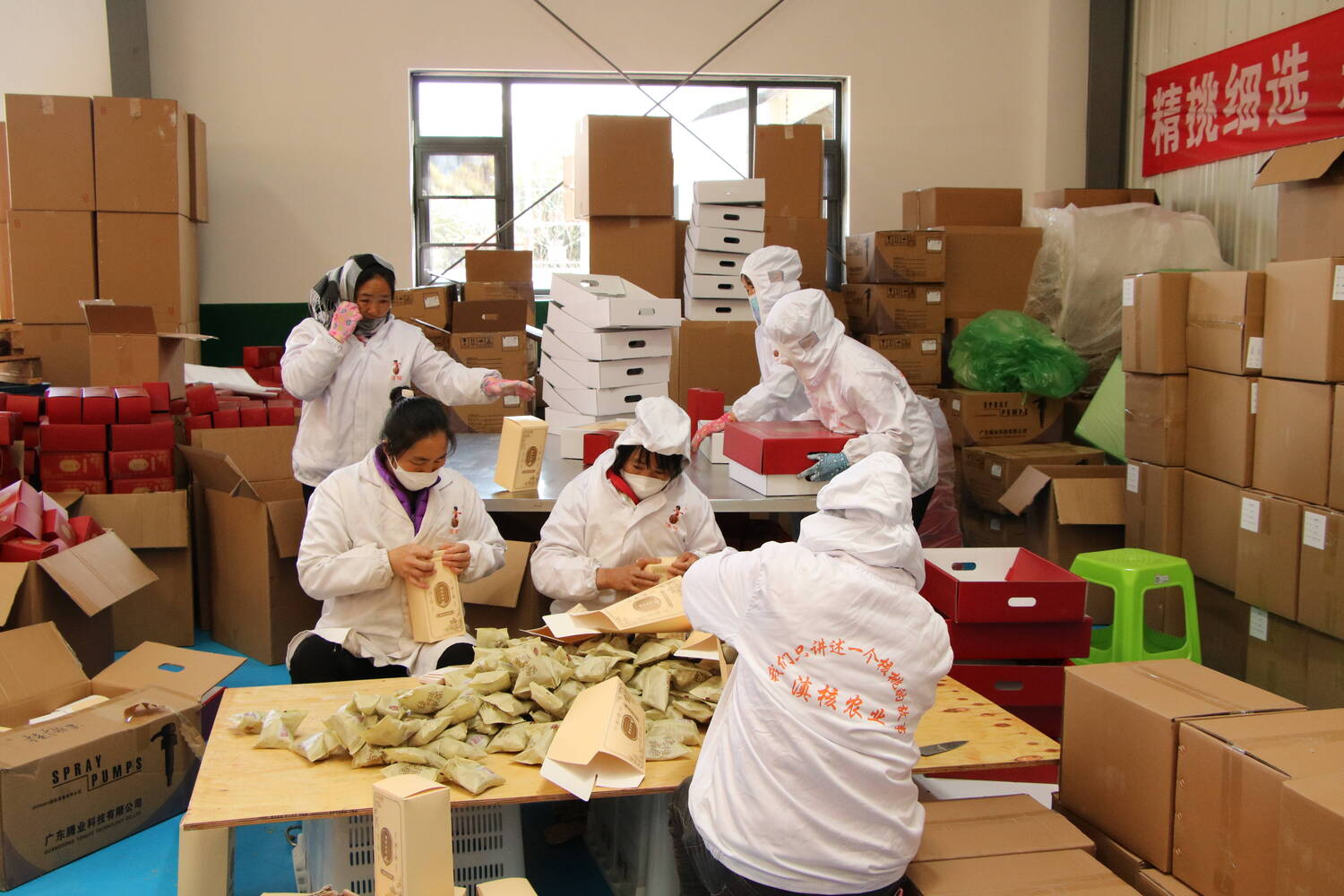 白路镇核桃加工厂.jpg 白路镇核桃加工厂.jpg