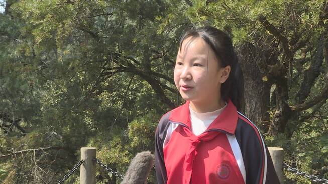 小学 杨月瑶.jpg