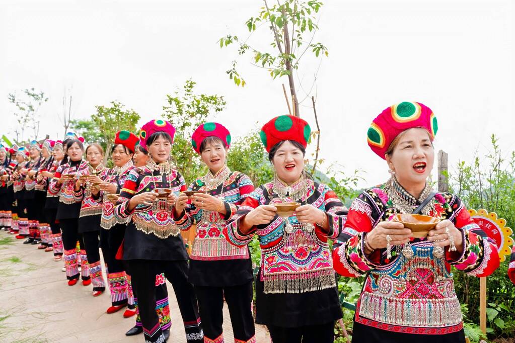 DSC06595-opq3115269739.jpg DSC06595-opq3115269739.jpg