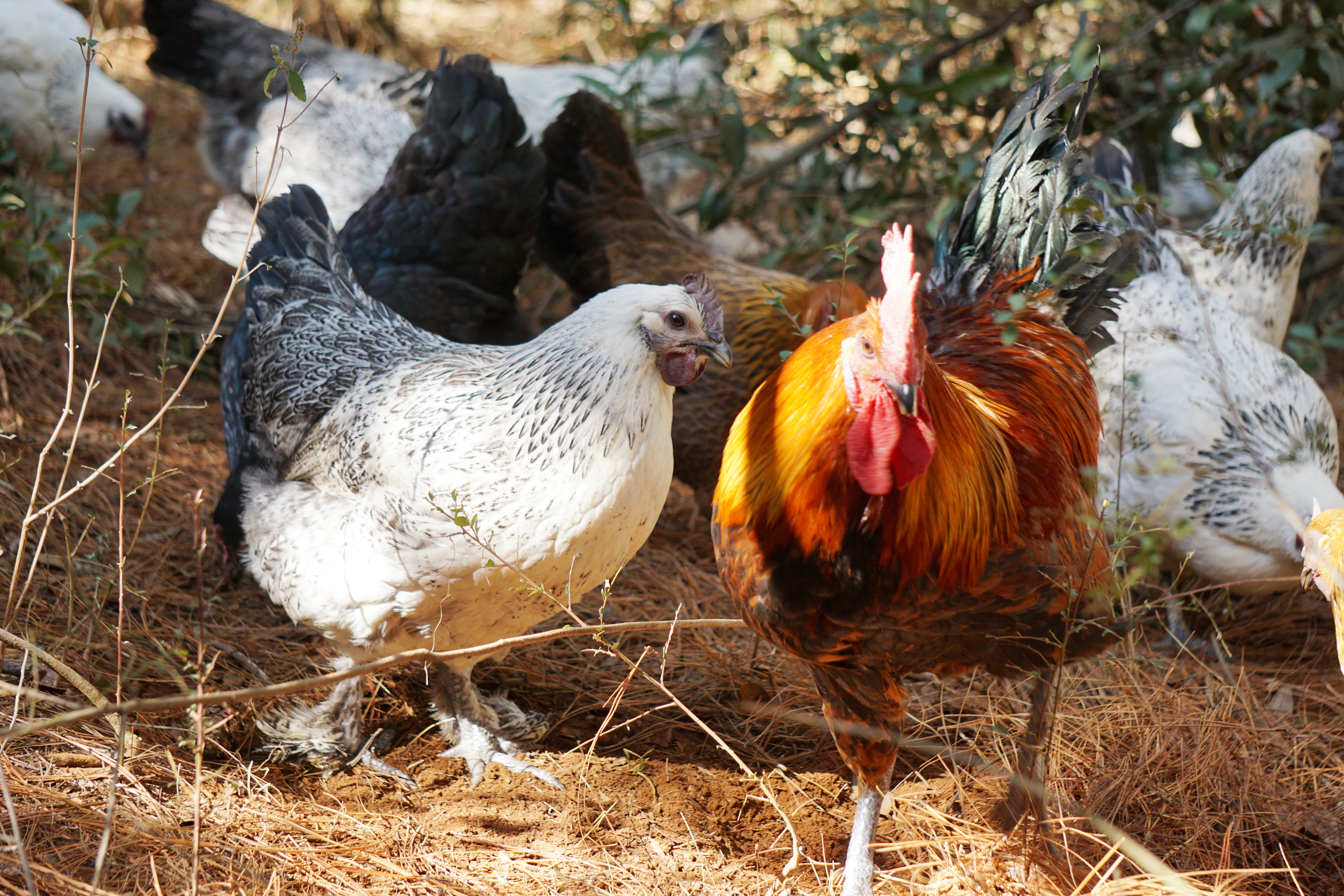 2.微信图片_20240929145832.jpg 2.微信图片_20240929145832.jpg