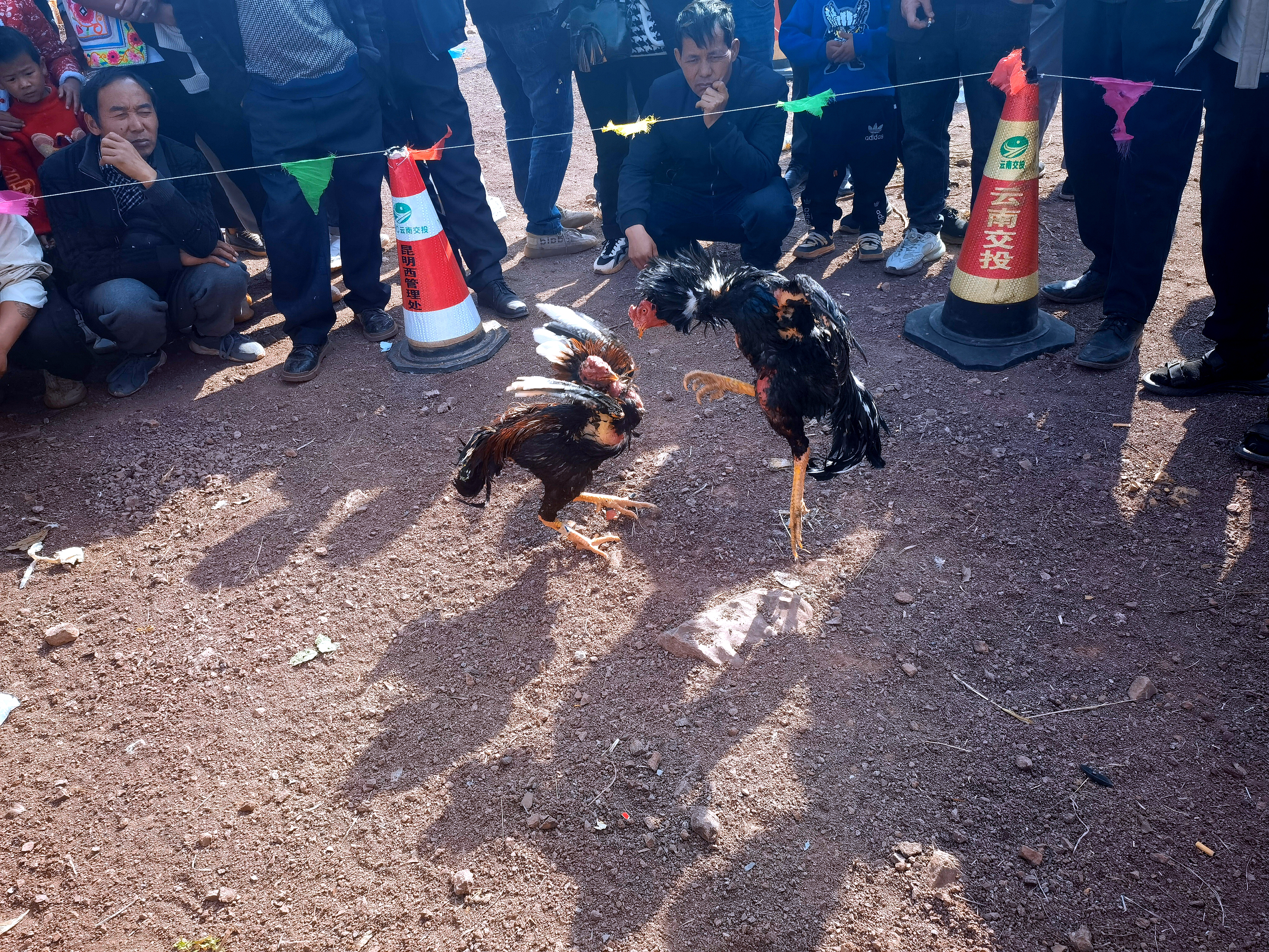 3.斗鸡.jpg 3.斗鸡.jpg