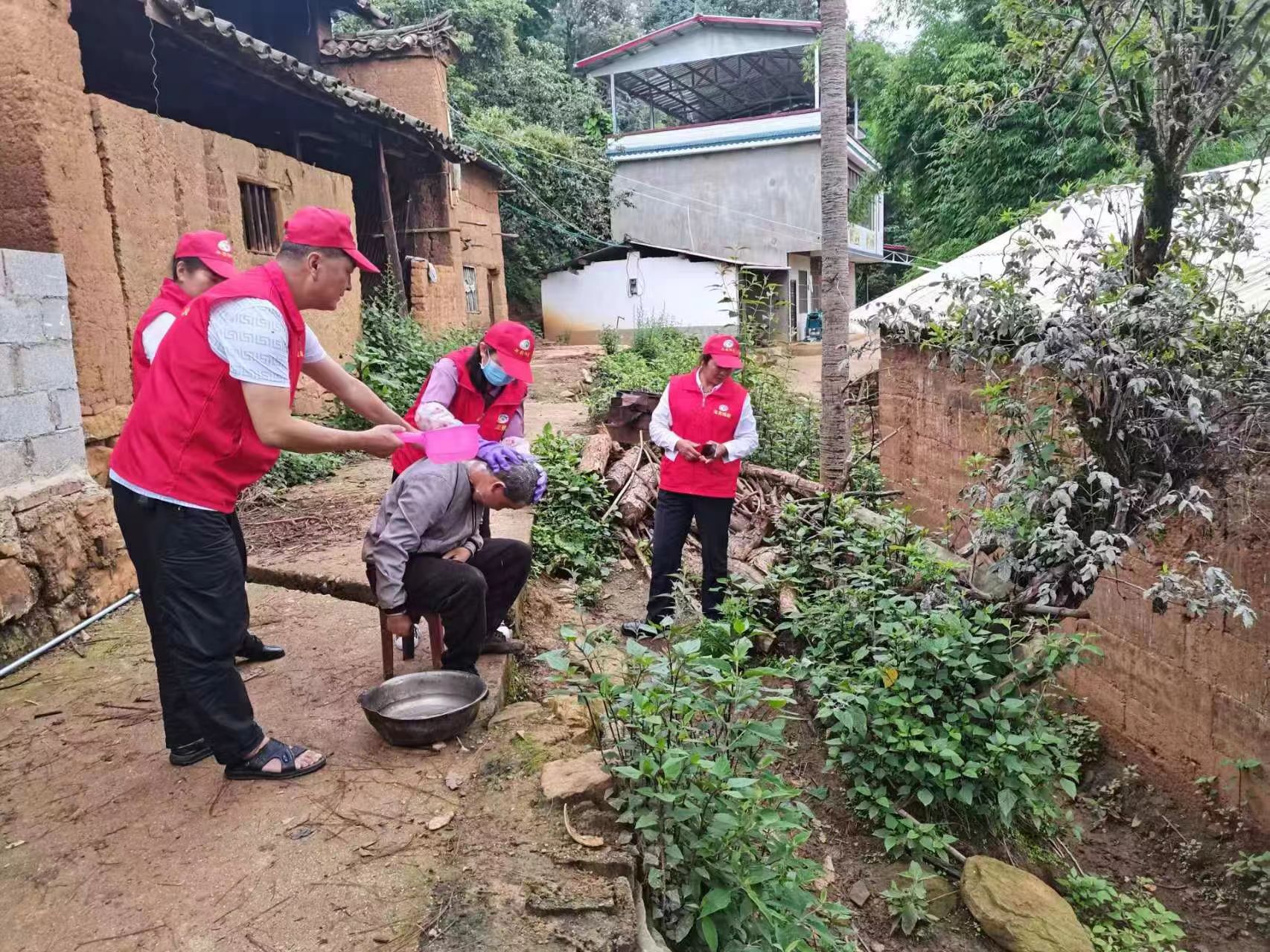 复制图片 复制图片