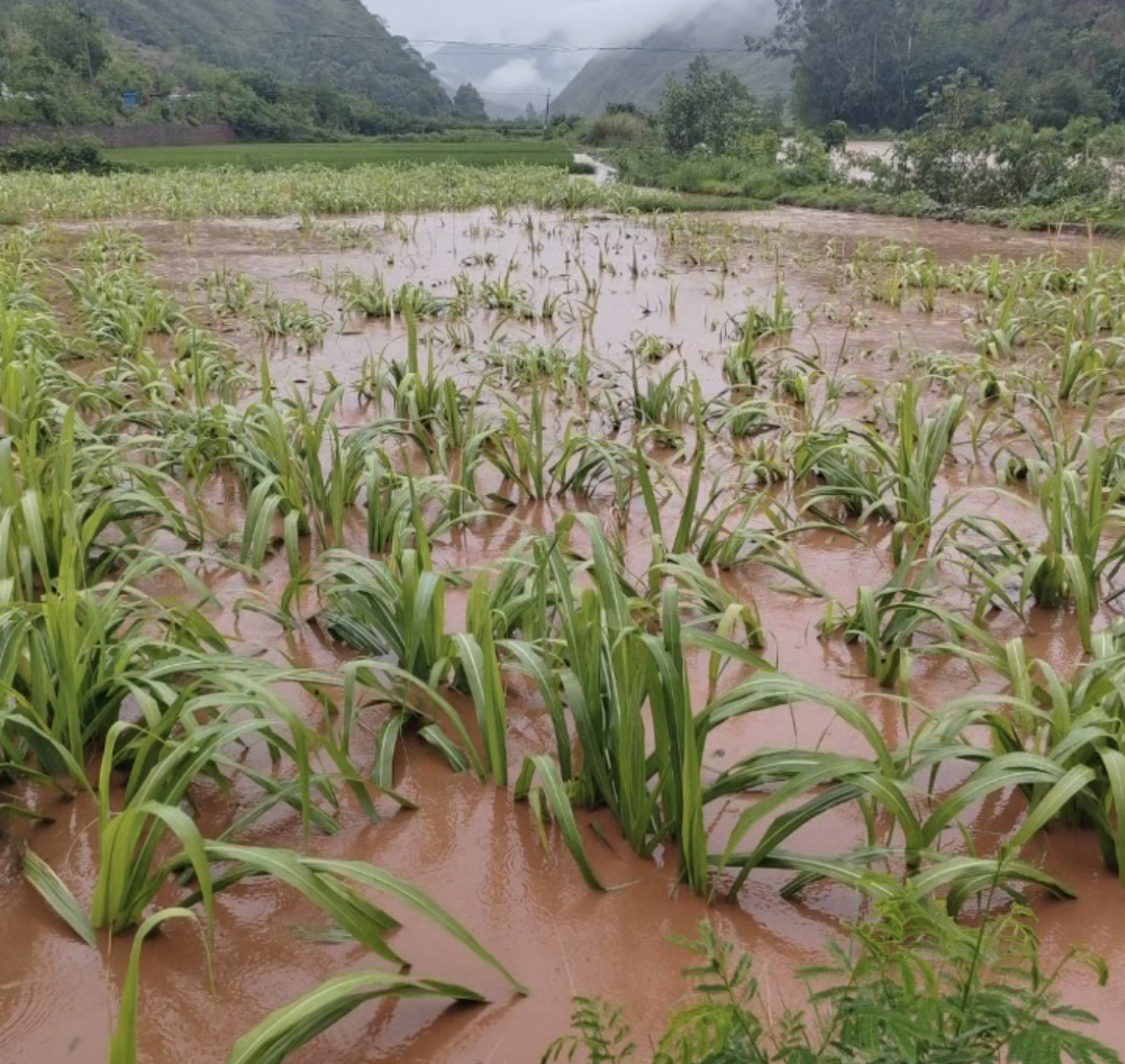 东坡1.jpg 东坡1.jpg