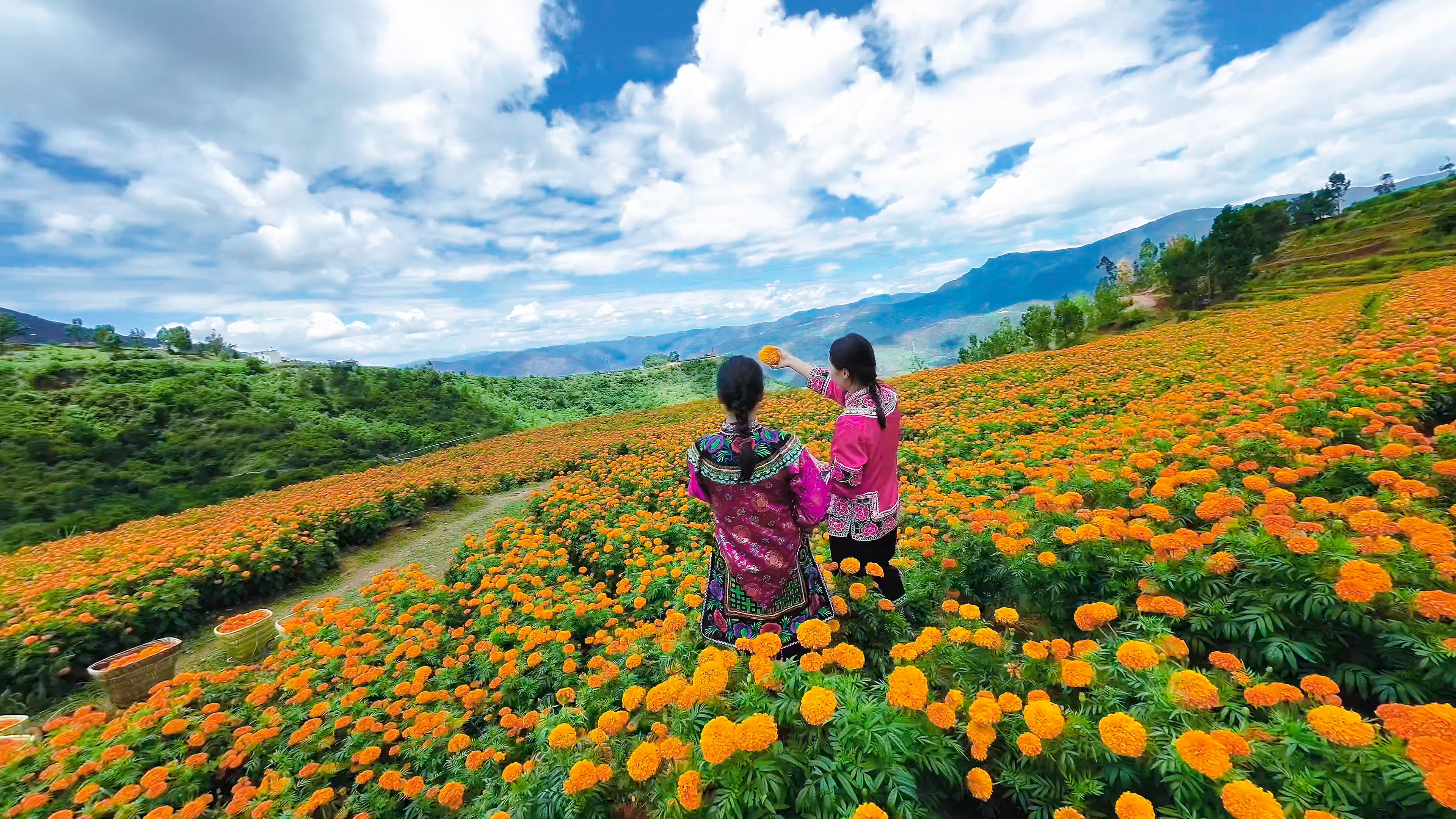 dc6e40cc74ede1230dd7e968540f6c0.jpg dc6e40cc74ede1230dd7e968540f6c0.jpg