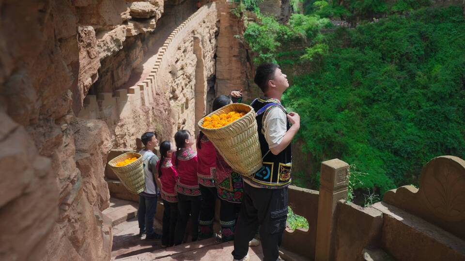 复制图片 复制图片