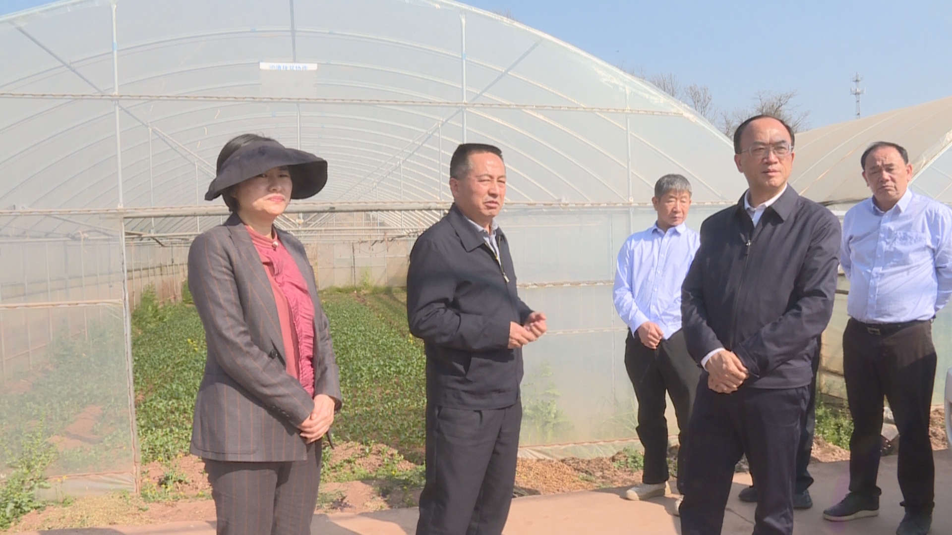 复制图片 复制图片