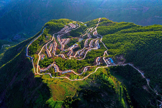 复制图片 复制图片