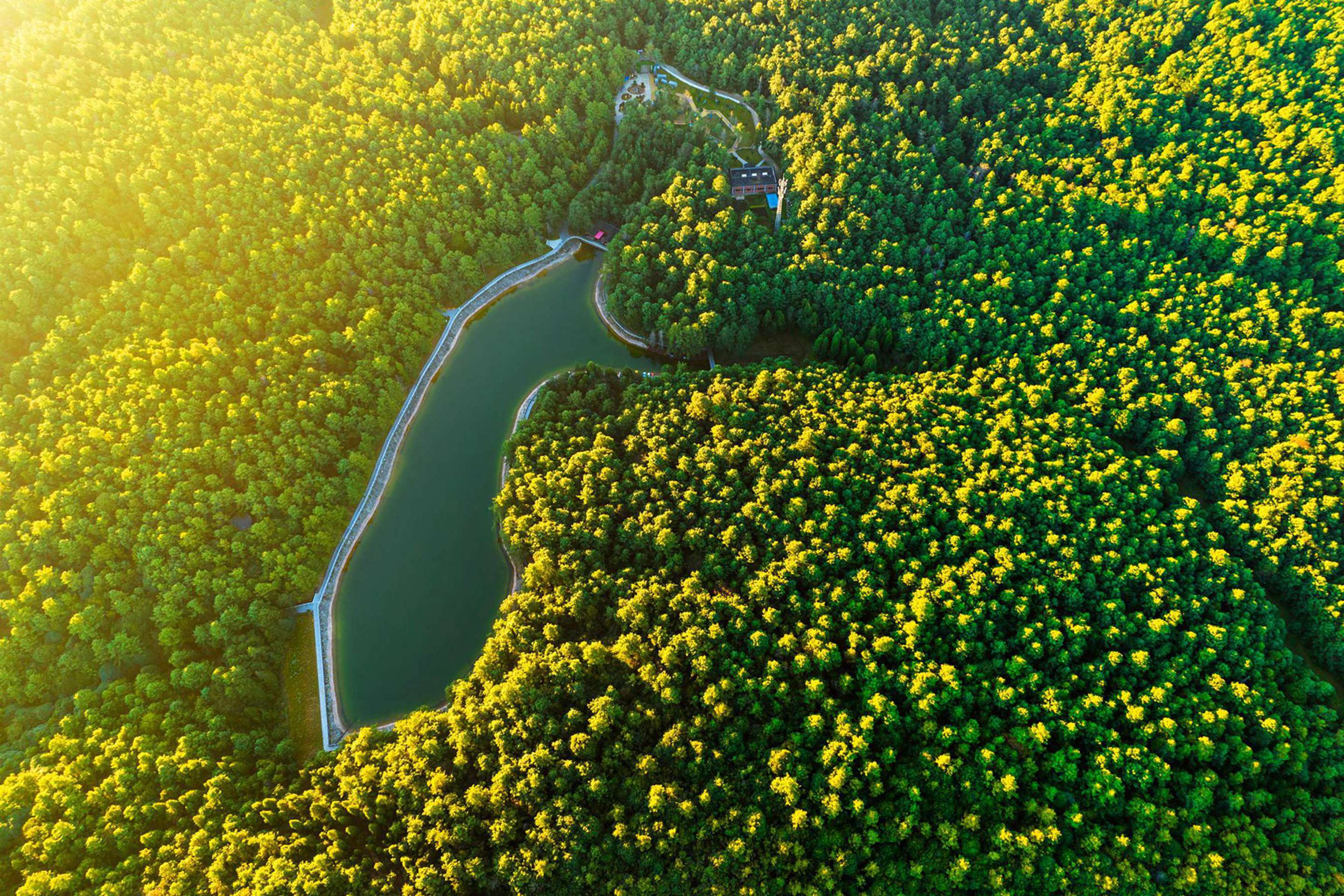 复制图片 复制图片