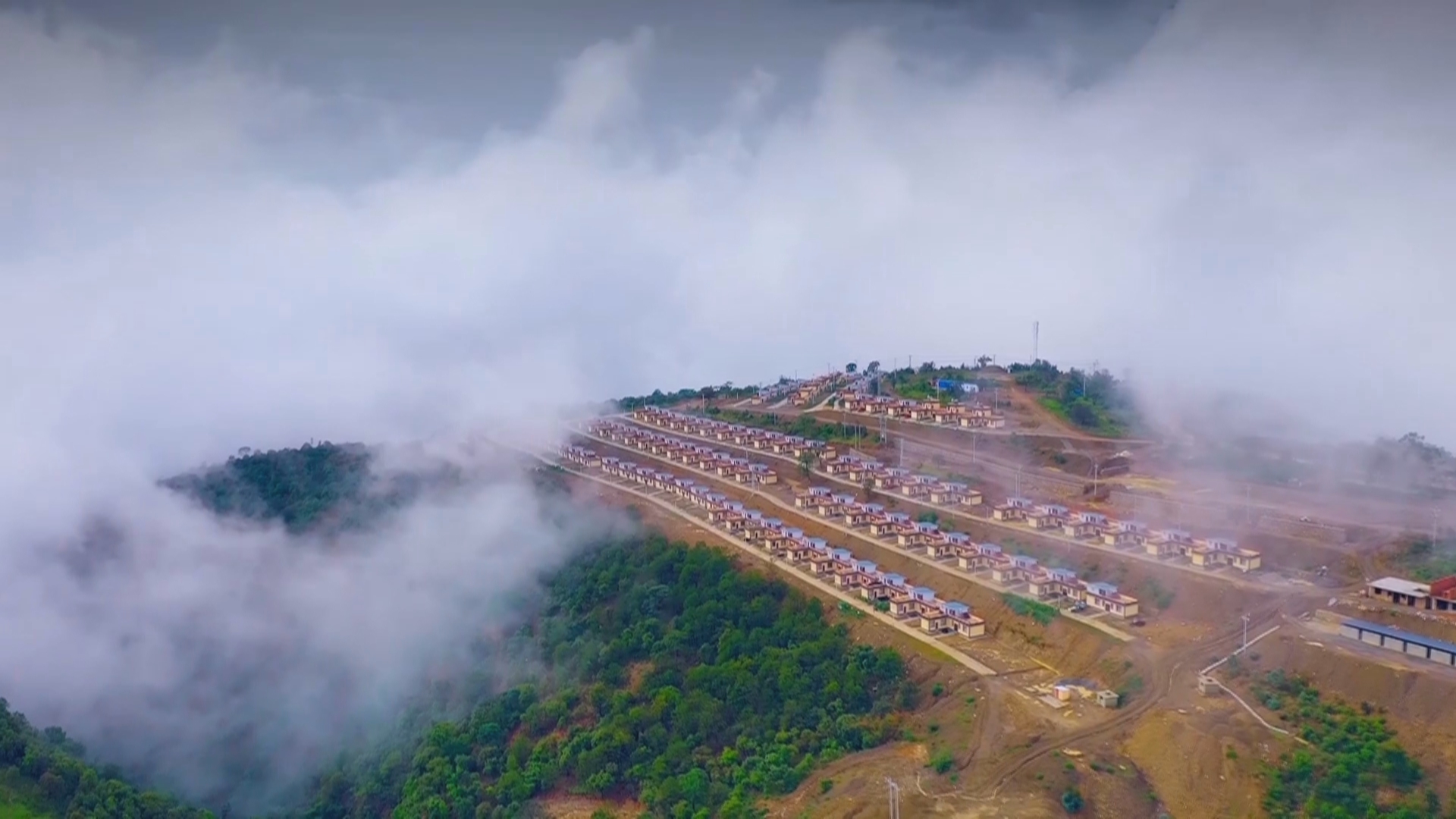 复制图片 复制图片