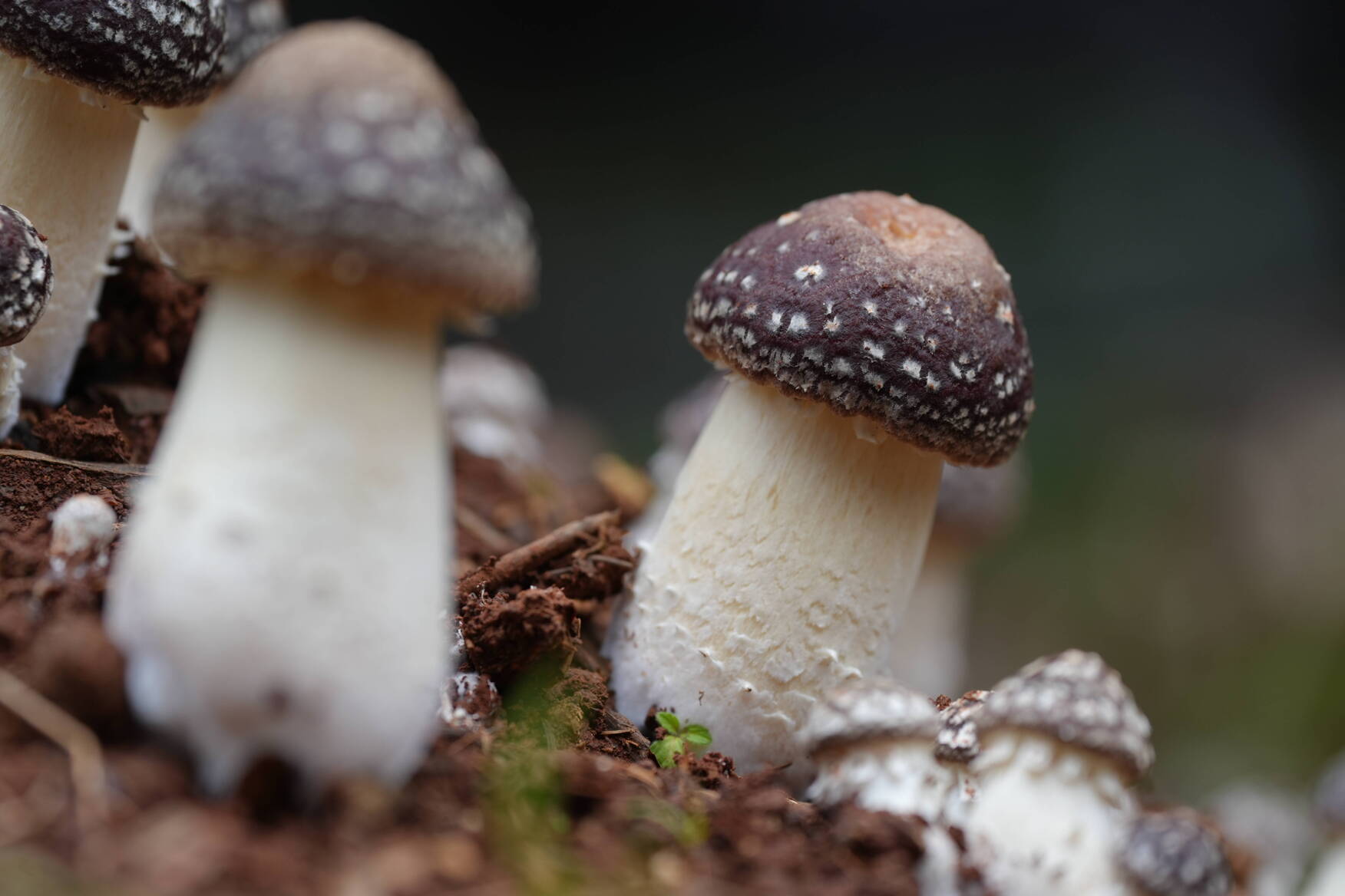 DSC03974.JPG DSC03974.JPG