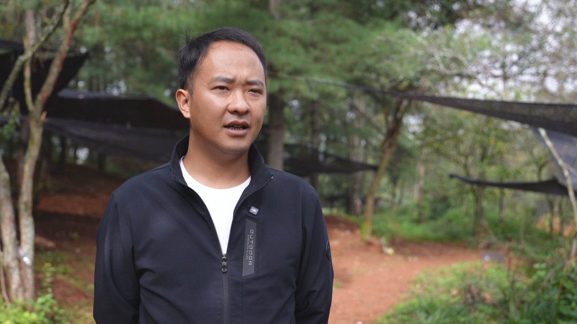 复制图片 复制图片