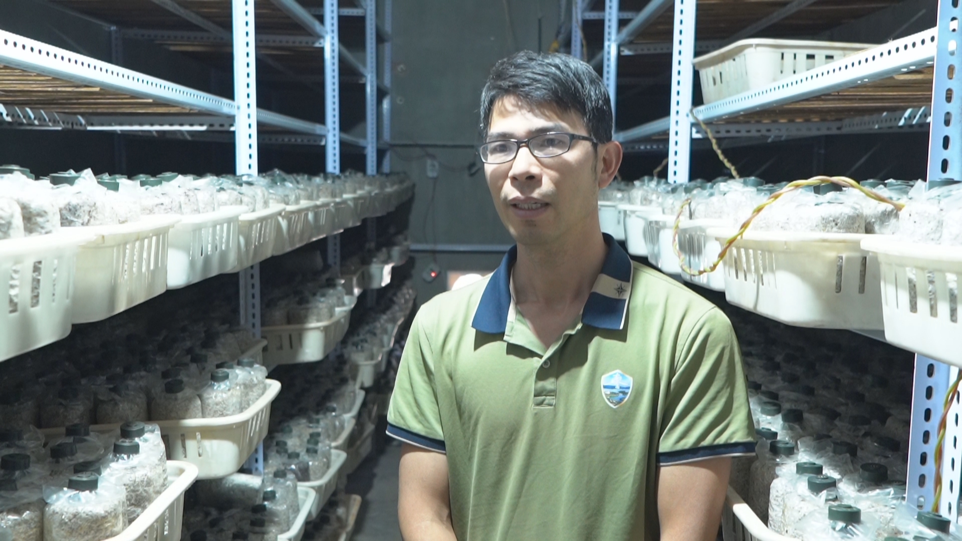 复制图片 复制图片